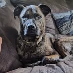 Kevin Mease - @schmoo17 - Instagram