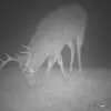 Kevin Mentzer - @kevin.mentzer1 - TikTok