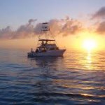 Kevin Miceli - @deep_sea_angler - Instagram