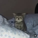 Kevin Milano - @kvnzzz_yy - Instagram
