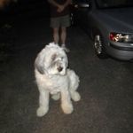 Kevin Milnes - @kevinmilnes - Instagram