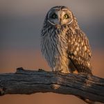 Kevin Mitchell - @kevinmitchellphoto - Instagram