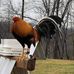 Kevin Mix - Facebook