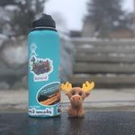 Kevin-Craig The Moose - @kevincraigthemoose - Instagram
