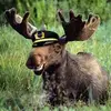 Kevin Moose - @kevin.moose5 - TikTok