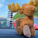 Kevin The Moose - @kevin_the_moose - Instagram