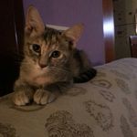 @kevin_morelli_05 - Instagram