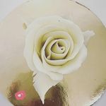 kevinmoretti - @kevin.moretti_ - Instagram