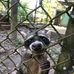 Kevin Mori - Facebook