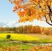 Kevin Mortenson - Facebook