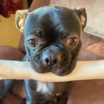 Kevin Mortenson - Facebook