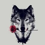 Kevin Muck - @muckkevin - Instagram