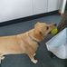 Kevin Munnings - Facebook