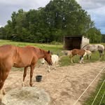 Kevin Muse - @mooseman0110 - Instagram
