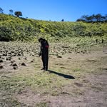 K E P I N - @kevinn.all - Instagram