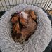 Kevin Nally - Facebook