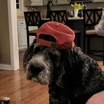 Kevin Nance - @knance1970 - Instagram