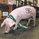 Kevin Naumann - @kevin270505 - Instagram