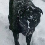 Kevin Neel - @kev_neel - Instagram