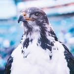 Kevin Nicely - @kevinnicely12 - Instagram