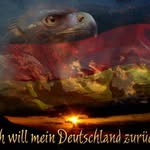 kevin pönitz - @kevinponitz - Instagram