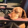 Kevin Wellnitz696 - @kevinwellnitz123 - TikTok