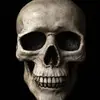 Kelvin - @nott.kevinking - TikTok