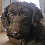 Kevin Nulty - @nulty467 - Instagram