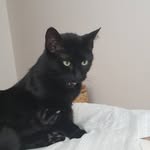 Kevin Oaks - @kevin_oaks1979 - Instagram