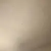 KEVIN LE KING - @kevinodensky - TikTok