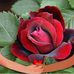 Kevin Onana - Facebook