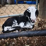 Kevin Oosthuysen - @kevinoosthuysen - Instagram