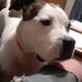 Kevin Opp - Facebook