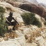Kevin Williams - @kevinorganic - Instagram