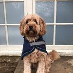 Kevin Orme - @orme.kevin - Instagram