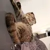 kevinschlosinski - @kevinschlosinski - TikTok