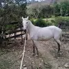 KEVIN OSORIO - @kevinn.osorio - TikTok