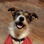 Kevin Overman - @geek_dad_kevin - Instagram