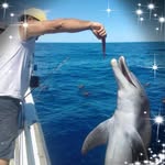 Kevin Paley - @kevpaley - Instagram
