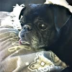 Kevin Parenteau - @bridgeroadkp - Instagram
