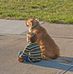 Kevin Passaro - Facebook