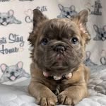 Kev Patchet - @kevin_patchett - Instagram