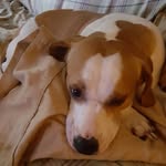 Kevin Patch - @kpatch57 - Instagram