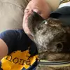 Kevin Patrick - @kevinpatrick - TikTok
