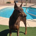 Kevin-Patty Adams - @kevinpattyadams - Instagram