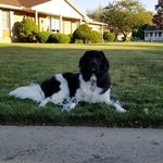 Kevin Peak - @kpeak12 - Instagram