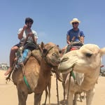 Kevin Peet - @kevinpeet1 - Instagram
