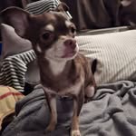 Kevin Peeters - @peeterskevin110 - Instagram