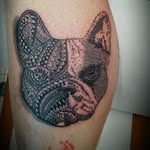Kevin Peeters - @kevin.peeters.756 - Instagram