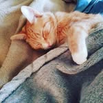 Kevin O'Ryan Pennell - @thekmanz - Instagram
